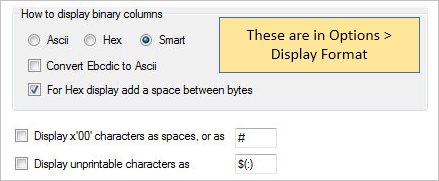 Binary Display Options